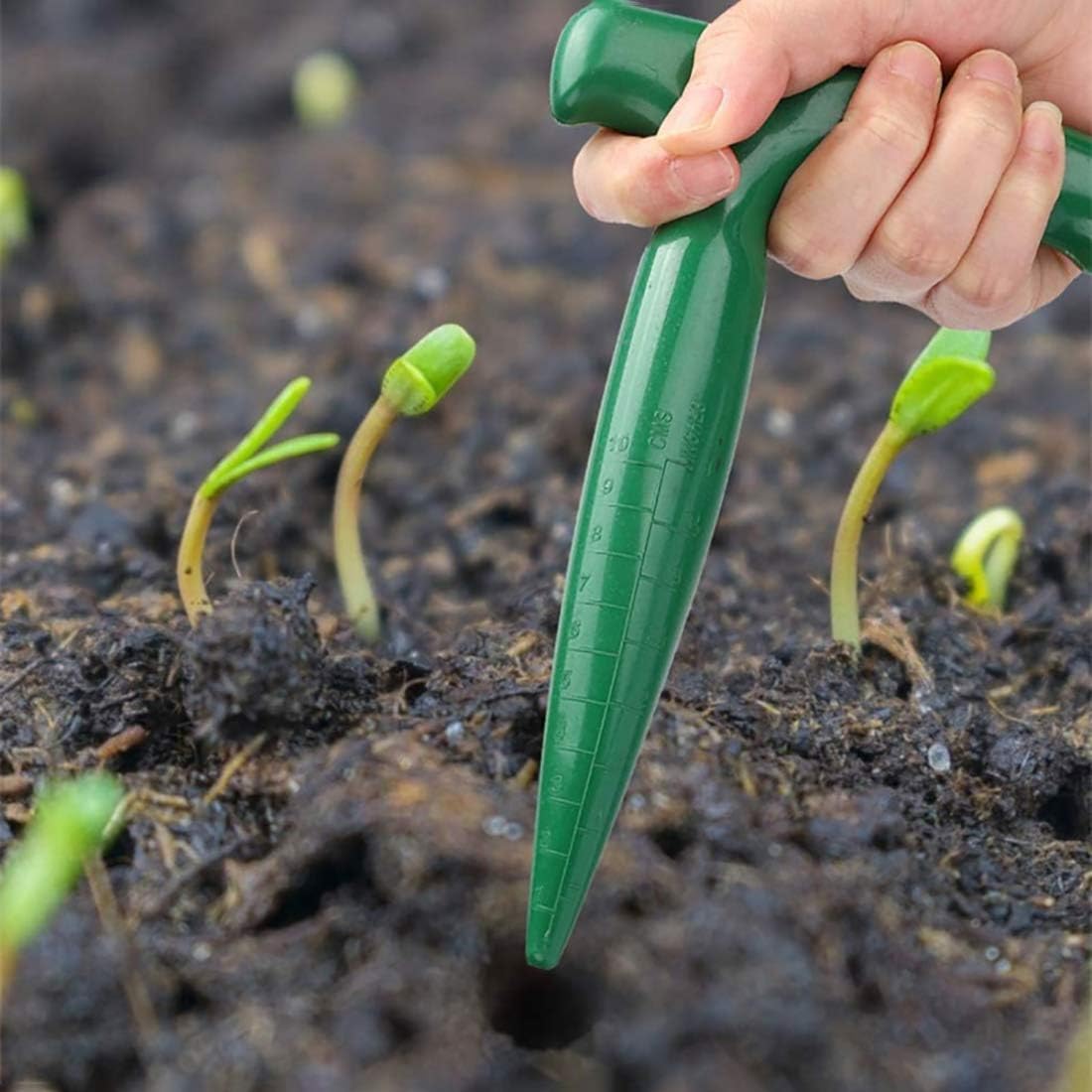 Roam & Root Seed Starting Kit – Precision Tools for Perfect Seedlings